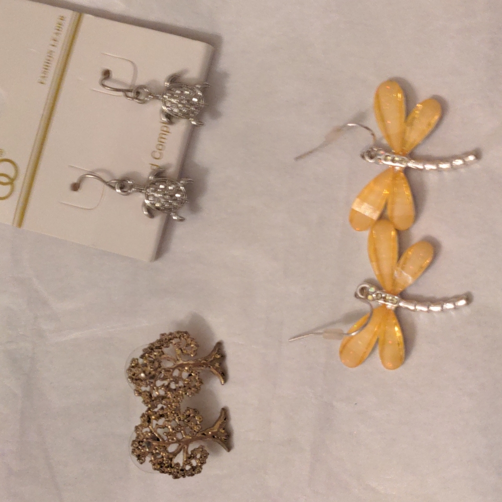 Earrings